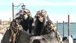 carnevale venezia 2013