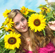 Summer: I love sunflowers