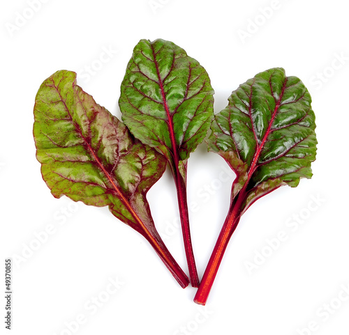 Photo: spinach beet leaves spinach beet leaves