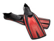 Two Flippers For Diving With W...