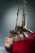 Sexy young woman with shibari in studio