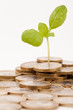 Foto: Money concept Money concept