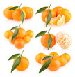 mandarins