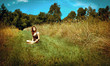 Photo: Young woman relaxing in a sunny field Young woman relaxing in a sunny field