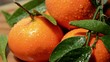 Rotating Tangerines with fresh leaves (time lapse)