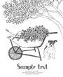 Wheelbarrow Garden