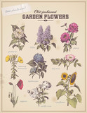 florist's placard with 9 vintage garden flowers