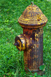 Foto: Hydrant Hydrant