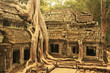 Ta Promh temple, Angkor area, Siem Reap, Cambodia