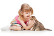 funny child playing with Scottish kitten