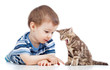 kid boy playing with cat kitten