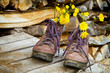 Wanderschuhe auf einem Holzstapel