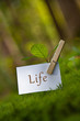 Life