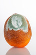 Rotten orange