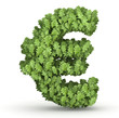 Euro sign from green leaves