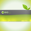 Ecology background card. Vector design. 