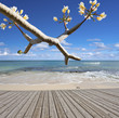 esplanade de bord de mer, île Maurice