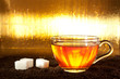 Cup of tea standing on dried leafs with lump sugar