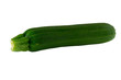 Zucchini on a white background