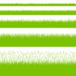 Gras Gräser Wiese