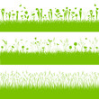 Wiese / Blumenwiesen Frühling Sommer Herbst