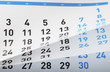 Calendar