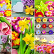Frühling