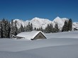 Snow covered hut, trees and Mt  Saentis
