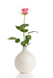 Flower And Vase.