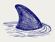 Reef Shark. Doodle style