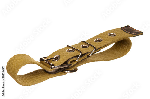 Photo: Dog collar Dog collar