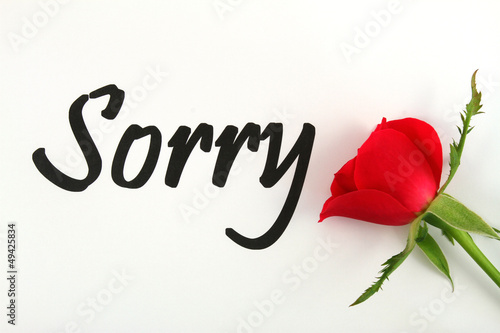 Photo: Sorry with red rose Sorry with red rose