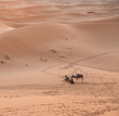 Camels and cars, the past, the future