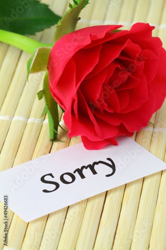 Photo: Sorry note with red rose Sorry note with red rose