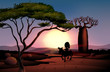 Sunset scenery