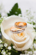 Wedding Rings