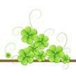Clover leaves for St. Patrick’s Day