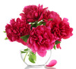 beautiful pink peonies in glass vase isolated on white