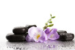 Spa stones and purple flower, isolated on white