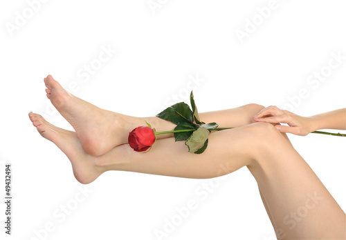 Photo: Female legs with rose isolated on white background Female legs with rose isolated on white background
