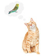 Cat thinking about bird.