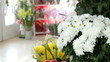 Chrysanthemums In Flower Shop