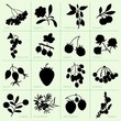 Set of berries