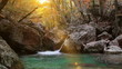 Wilderness Stream.