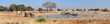 Okaukeujo waterhole panorama 2