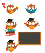 Vector: Intelligent Owl Set Intelligent Owl Set