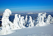 Winterlandschaft am grossen Arber, Bayerischer Wald