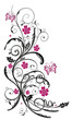Ranke, flora, Blüten, Schmetterlinge, schwarz, pink