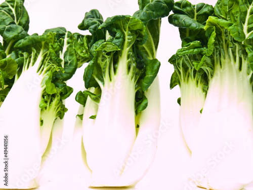 Photo: Bunch of Fresh baby bok choy, Brassica rapa chinensis, isolated Bunch of Fresh baby bok choy, Brassica rapa chinensis, isolated