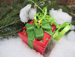 weihnachtsgeschenk